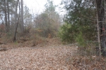 Lot 7 Manning Gin Rd Bethlehem, GA 30620 - Image 2583659