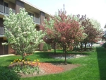 9614 W Higgins Rd #2E Des Plaines, IL 60018 - Image 2583776