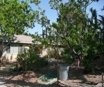 7279 Balsa Ave Yucca Valley, CA 92284 - Image 2584441