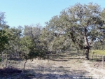 111 ACRES Wishing Star Ln Seguin, TX 78155 - Image 2584962