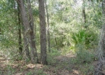 171 Oak Run Rd Crescent City, FL 32112 - Image 2584983