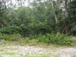 0 Gorbutt Rd Crescent City, FL 32112 - Image 2584985