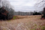 61 AC. JAMES B REEDER ROAD Allons, TN 38541 - Image 2616745