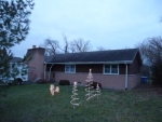 8105 W 98th St Palos Hills, IL 60465 - Image 2647714