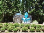 Lot 25 Royal Tern Way Carrabelle, FL 32322 - Image 2650191