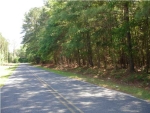 1 CHERRY HILL RD Hollywood, SC 29449 - Image 2652634