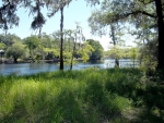 NW 117TH PLACE Branford, FL 32008 - Image 2654570