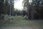 LOT 17 NE JONES RD Bronson, FL 32621 - Image 2655035