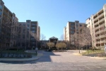 4545 W Touhy Ave #318 Lincolnwood, IL 60712 - Image 2655021