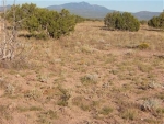 164-B Unnamed Ash Fork, AZ 86320 - Image 2655407