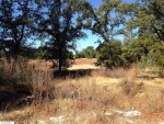 21370 Shaws Flat Road Sonora, CA 95370 - Image 2655951