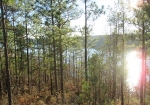 Lot 8, Riverknole S/D Tallassee, AL 36078 - Image 2656045