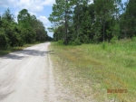 8585 SW 137th Street Starke, FL 32091 - Image 2658247