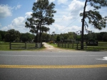 33916 County Road 437 Sorrento, FL 32776 - Image 2658321