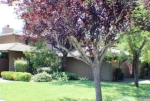 7 Elkhorn Pl Fairfield, CA 94534 - Image 2659241