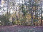 405 WESTBOURNE DR LOT 45 Tyrone, GA 30290 - Image 2667928