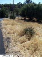 LOT 47 CRESTRIDGE Ave Sonora, CA 95370 - Image 2684045