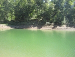 CO RD 890 Crane Hill, AL 35053 - Image 2691619