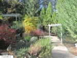 21265 Phoenix Lake Dr. Sonora, CA 95370 - Image 2706563