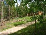 401 Blackfoot Rd Red Feather Lakes, CO 80545 - Image 2706637