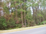 881 N State Road 21 Hwy Melrose, FL 32666 - Image 2708435