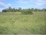 LOT 15 SE 143 CT Morriston, FL 32668 - Image 2709913