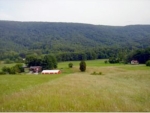 3113 Beech Creek Rogersville, TN 37857 - Image 2712234