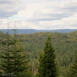 10522 Harmony Ridge Road Nevada City, CA 95959 - Image 2713409