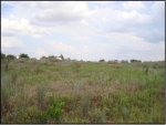 Lot 3 Block 3 River Springs Randlett, OK 73562 - Image 2713848