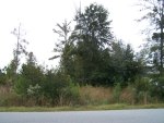 152  BUCKMEADOW DR Brunswick, GA 31525 - Image 2714428