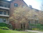 611 Hapsfield Ln Apt 203 Buffalo Grove, IL 60089 - Image 2714659