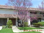 1128 Catalina Dr Hanover Park, IL 60133 - Image 2716266