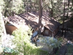 461 Club House Dr Twin Peaks, CA 92391 - Image 2716856