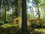 13406 Dixon Hill Rd Oregon House, CA 95962 - Image 2728613