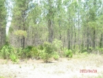 LOT 94 CAMDEN RESERVE Woodbine, GA 31569 - Image 2750279