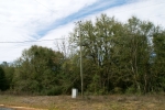 County Road 257 New Brockton, AL 36351 - Image 2779904