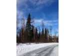 9171 W O'Brien Creek Drive Wasilla, AK 99654 - Image 2787354