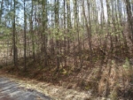 LOT 1100 CEDAR RIDGE Ranger, GA 30734 - Image 2788138