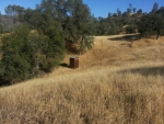 37340 Road 800 Raymond, CA 93653 - Image 2791276