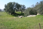 5.26 AC Green Mountain Road 613 Raymond, CA 93653 - Image 2791277