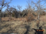 Lot F33 Phase 1 7r Ranch (Apn# R000 Gordon, TX 76453 - Image 2817433