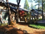 11895 Sierra Pines Rd Nevada City, CA 95959 - Image 2818400