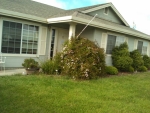 12985 ROSE CT Watsonville, CA 95076 - Image 2819329