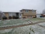 14070 Chestnut Ln Orland Park, IL 60467 - Image 2819374