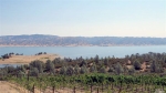 7100 Berryessa Knoxville Rd Napa, CA 94558 - Image 2819457