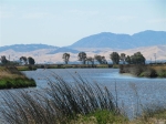 2514 Grizzly Island Rd Fairfield, CA 94534 - Image 2821036