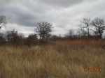 Lot A23 Of 7 R Ranch  (Apn# 0858134 Gordon, TX 76453 - Image 2821723