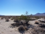 6413 North Inyokern Airport Wes Inyokern, CA 93527 - Image 2822022