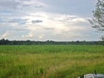 0 E Cook Road Pansey, AL 36370 - Image 2822181