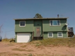 20 Ridge Cir Divide, CO 80814 - Image 2822543